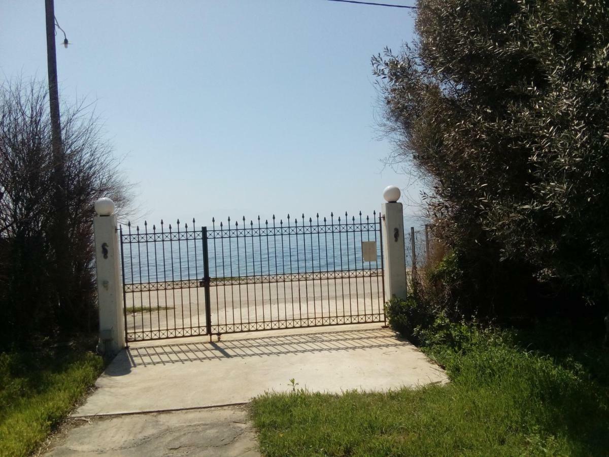 Myconian Summer House 마크리 외부 사진